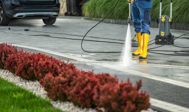 Best Driveway Pressure Washing  in Timberlane, IL